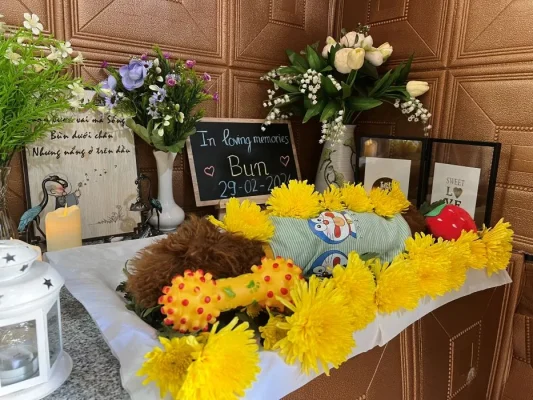 Các gói dịch vụ tại đơn vị hỏa táng chó mèo