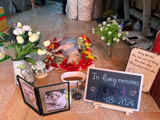 Ý nghĩa của việc sử dụng đơn vị hỏa táng chó mèo